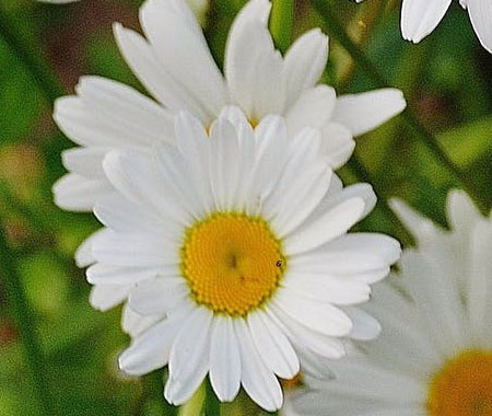 Gallery gardener gallery 2